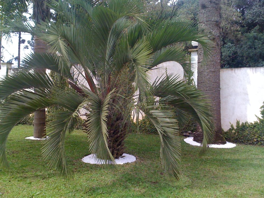 joppert.ind.br_empresa_amostra